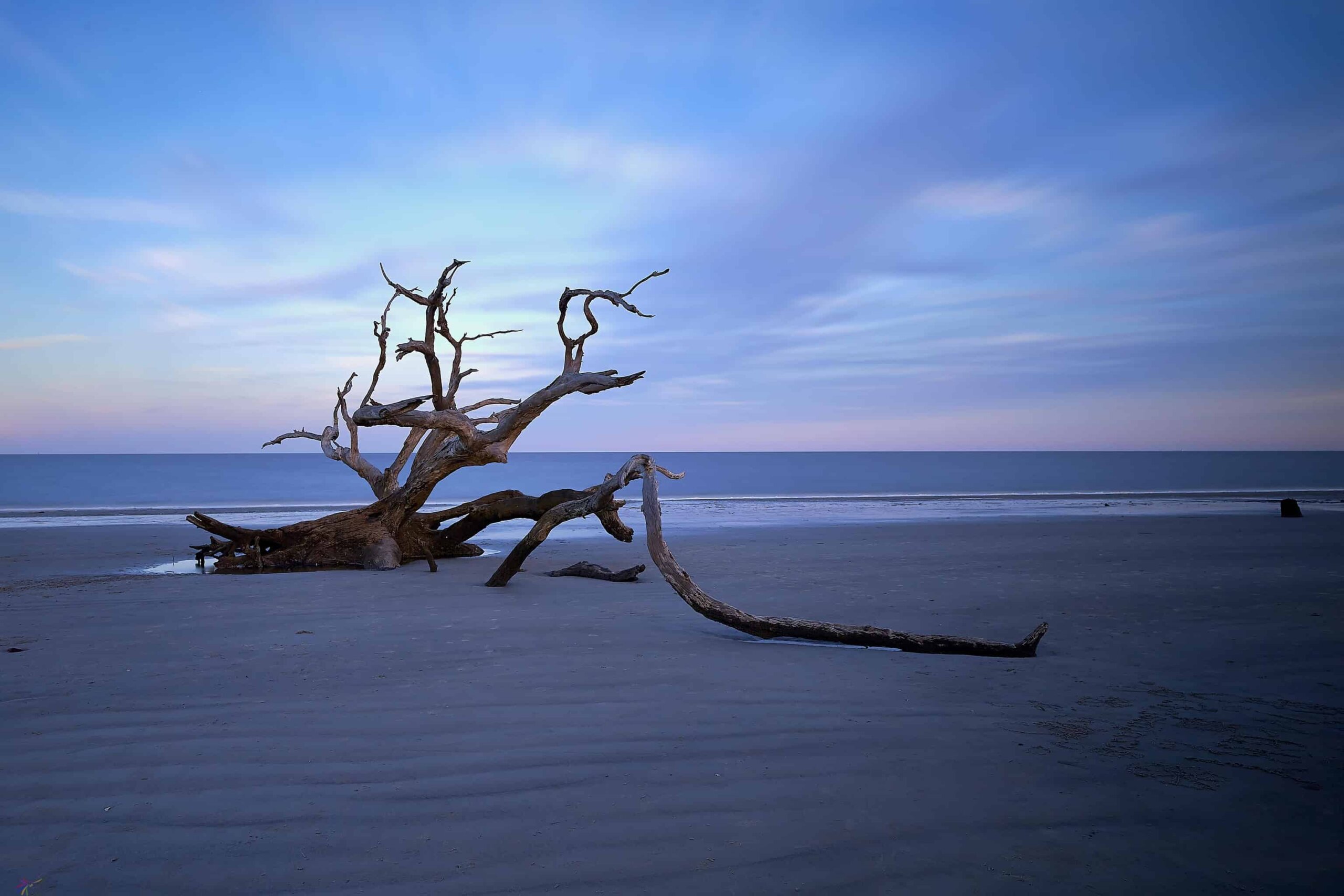 quietly peaceful image of Driftwood Beach